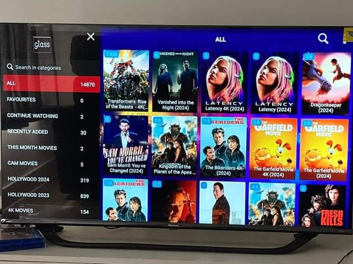 1dollariptv verified customer Camille L photo