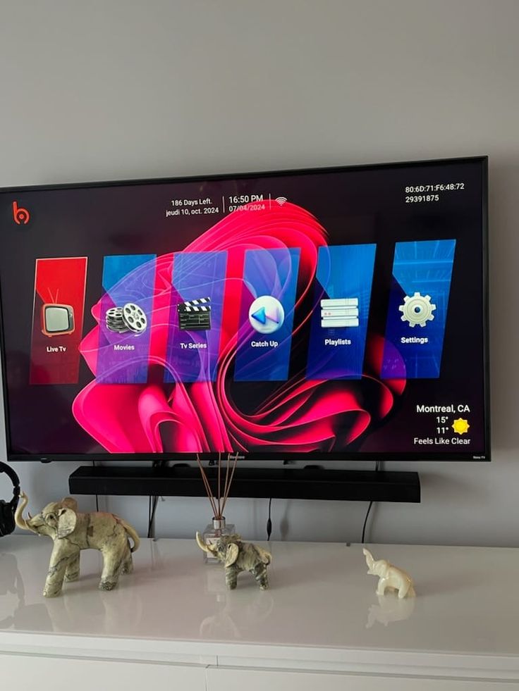 1dollariptv verified customer Jan V photo
